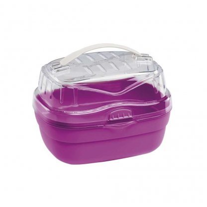 Aladino Small