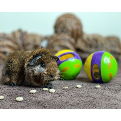 Skanėstų kamuoliukas PA 4730