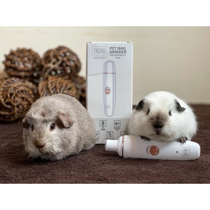 Tauro Pro Line nagų freza balta, pakraunama su EU kištuku ir papildomu antgaliu