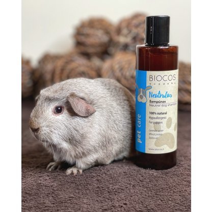 PET CARE neutralus šampūnas