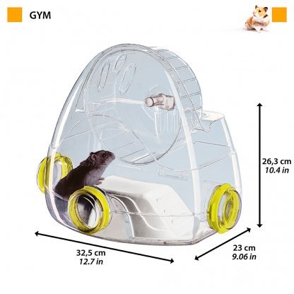 FPI 4824 GYM - Image 2