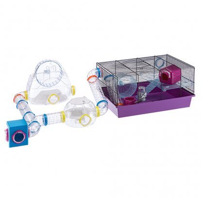 FPI 4824 GYM - Image 3