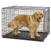 DOG-INN 105 - Image 4